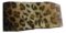 Islands Earth Sweat Headband. Triple Layers. African Leopard Print/Black Cotton/